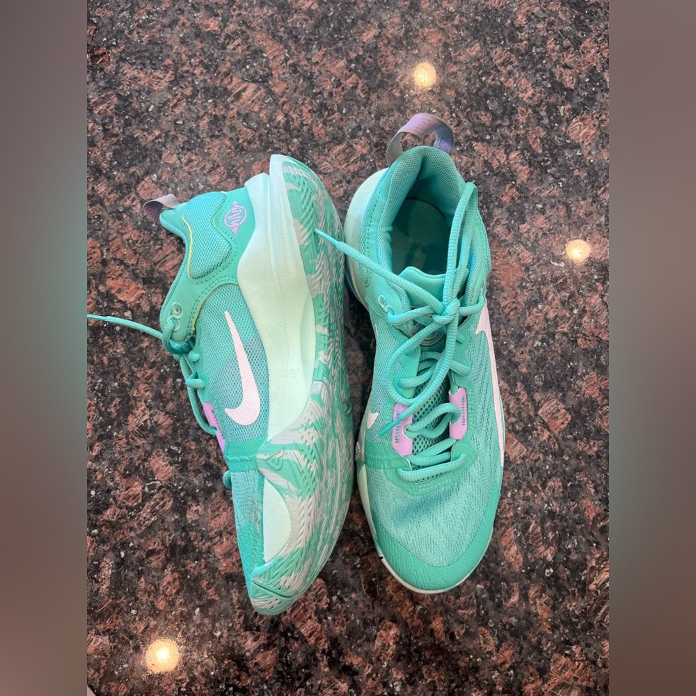 Giannis Antetokounmpo Nike Basketball Shoes